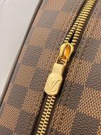 Louis Vuitton toiletry bag close-up of gold zipper pull on checkered trim.