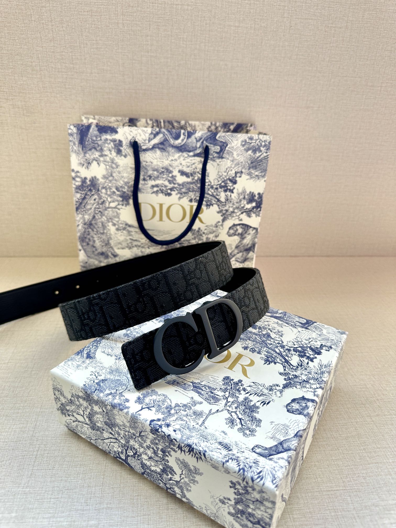 Dior Belt