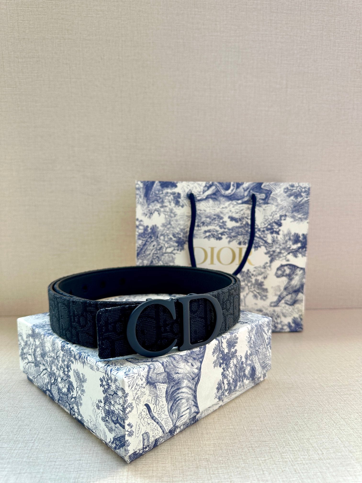 Dior Belt