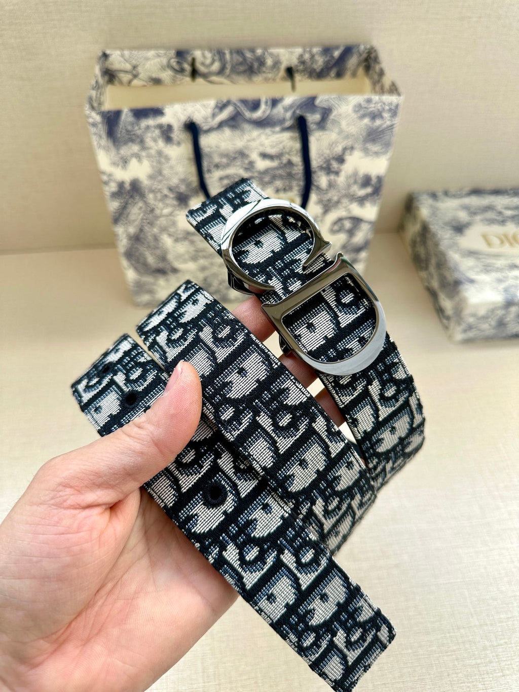 Dior belt detail on hand: black monogram webbing with silver square buckle
