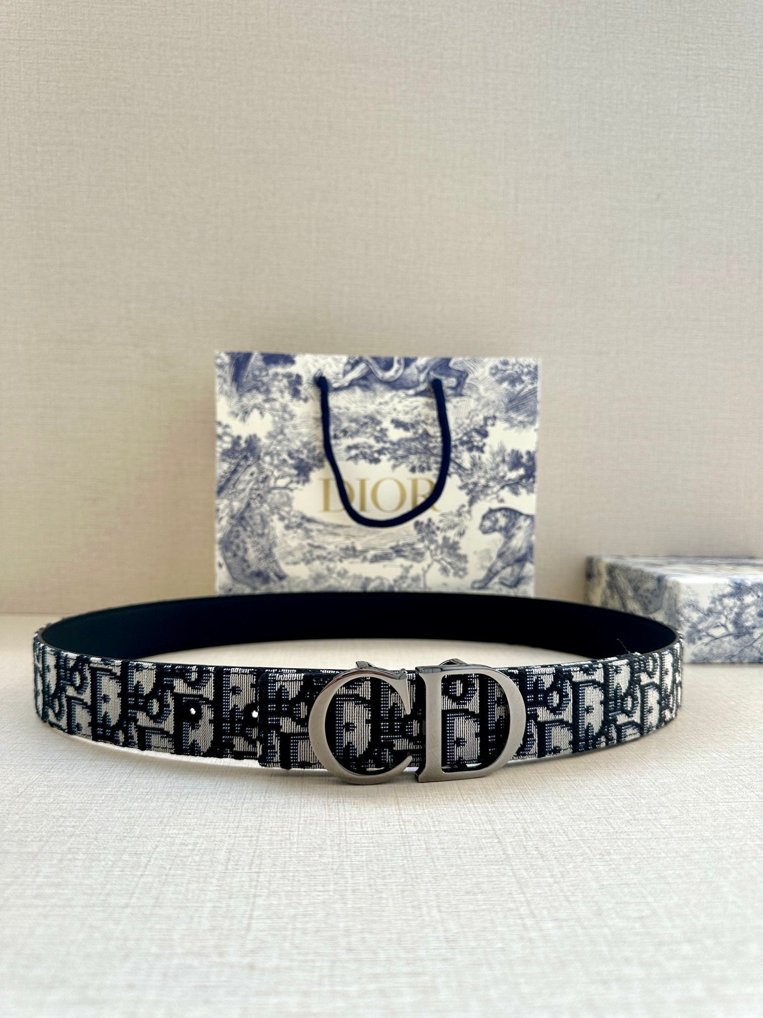 Dior Belt