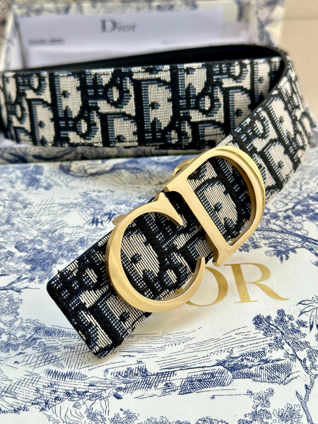Dior belt close-up: navy-and-white logo jacquard strap with gold CD buckle