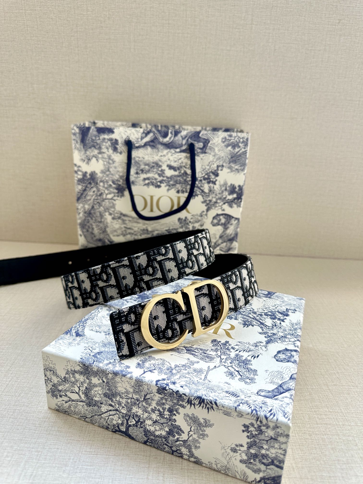 Dior Belt