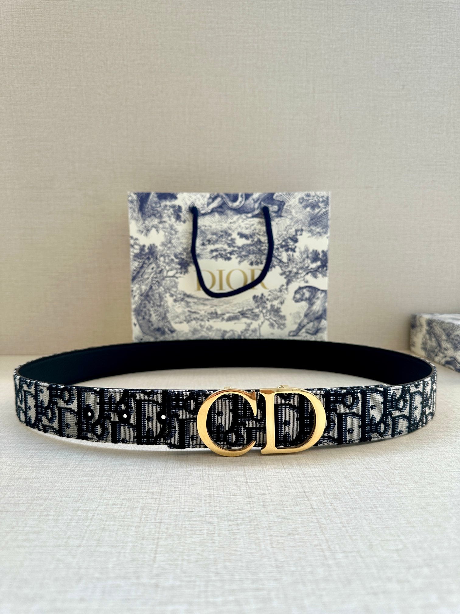 Dior Belt