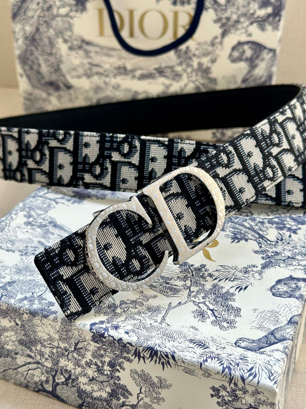 Dior belt close-up of logo pattern with silver-tone buckle and strap holes.