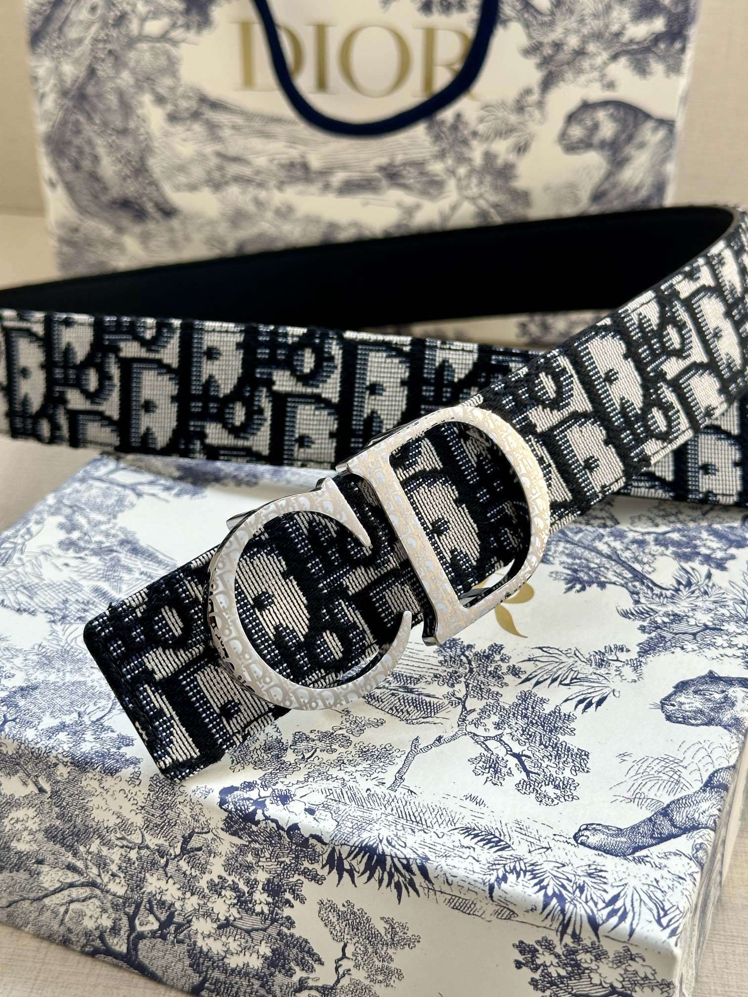 Dior belt close-up of logo pattern with silver-tone buckle and strap holes.
