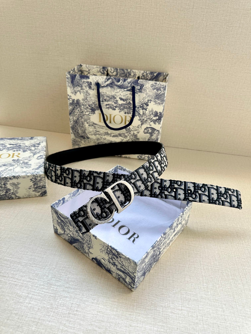 Dior belt with logo strap and silver-tone buckle, strap centered.