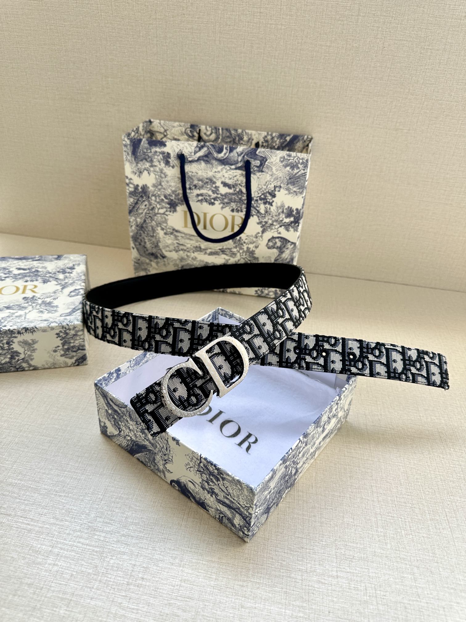 Dior belt with logo strap and silver-tone buckle, strap centered.
