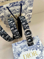 Dior belt with logo strap and silver-tone buckle; decorative strap end detail.