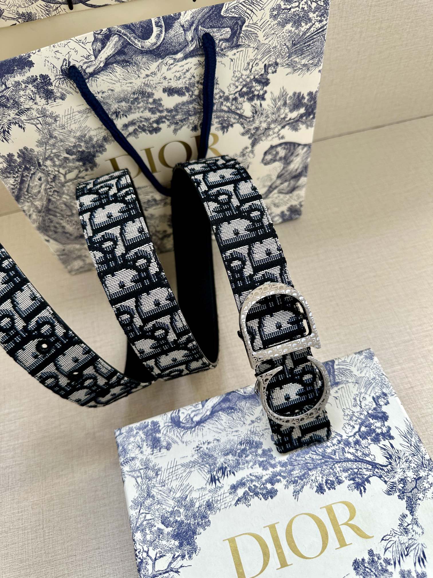 Dior Belt