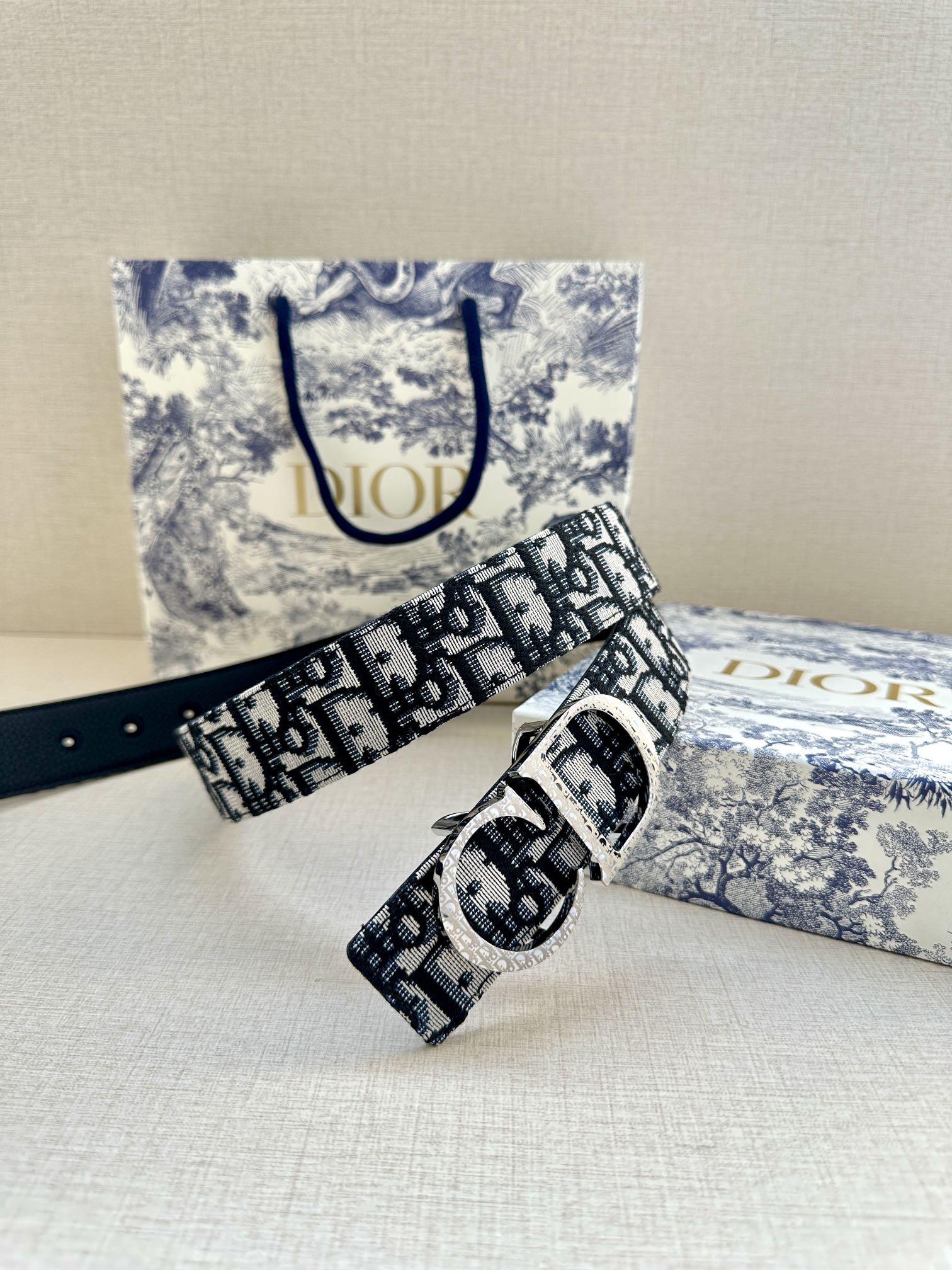 Dior Belt