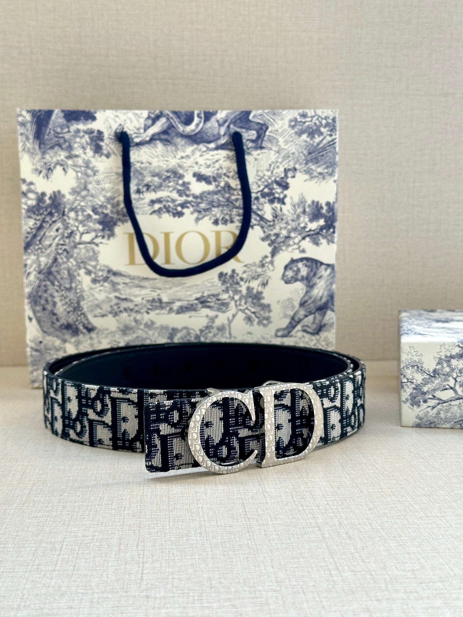 Dior Belt