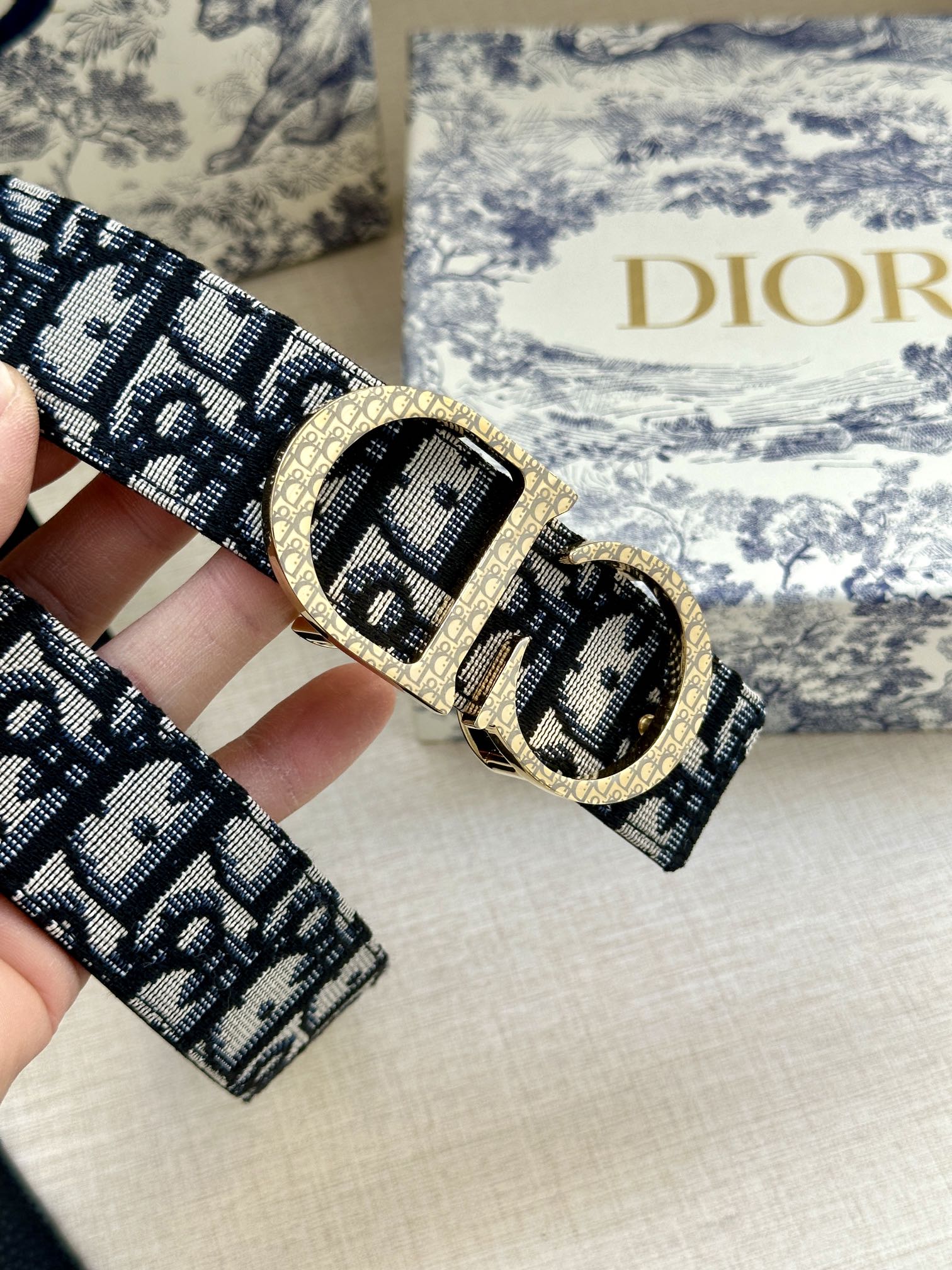 Dior belt strap close-up in dark navy/black monogram with gold buckle
