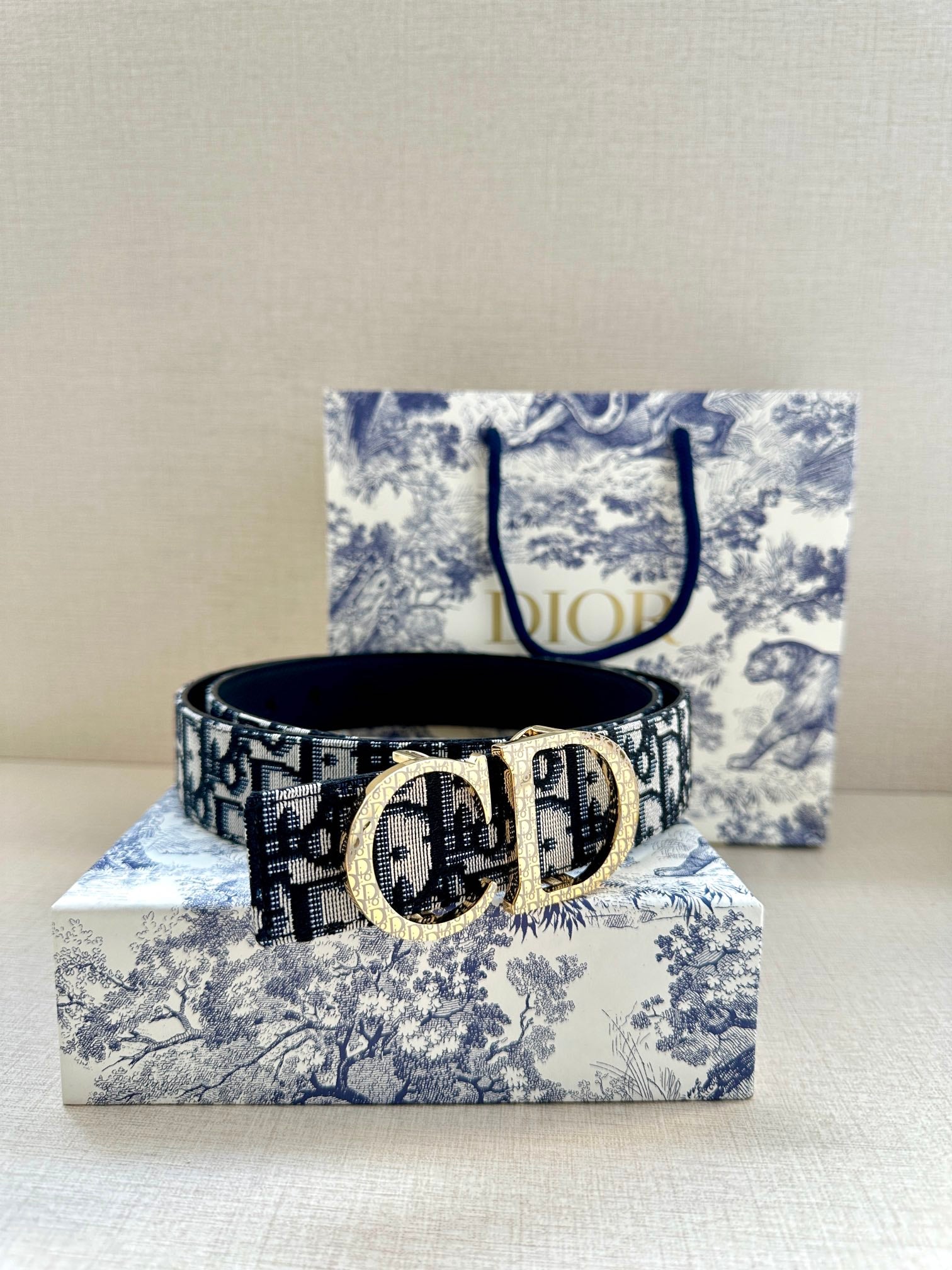 Dior Belt