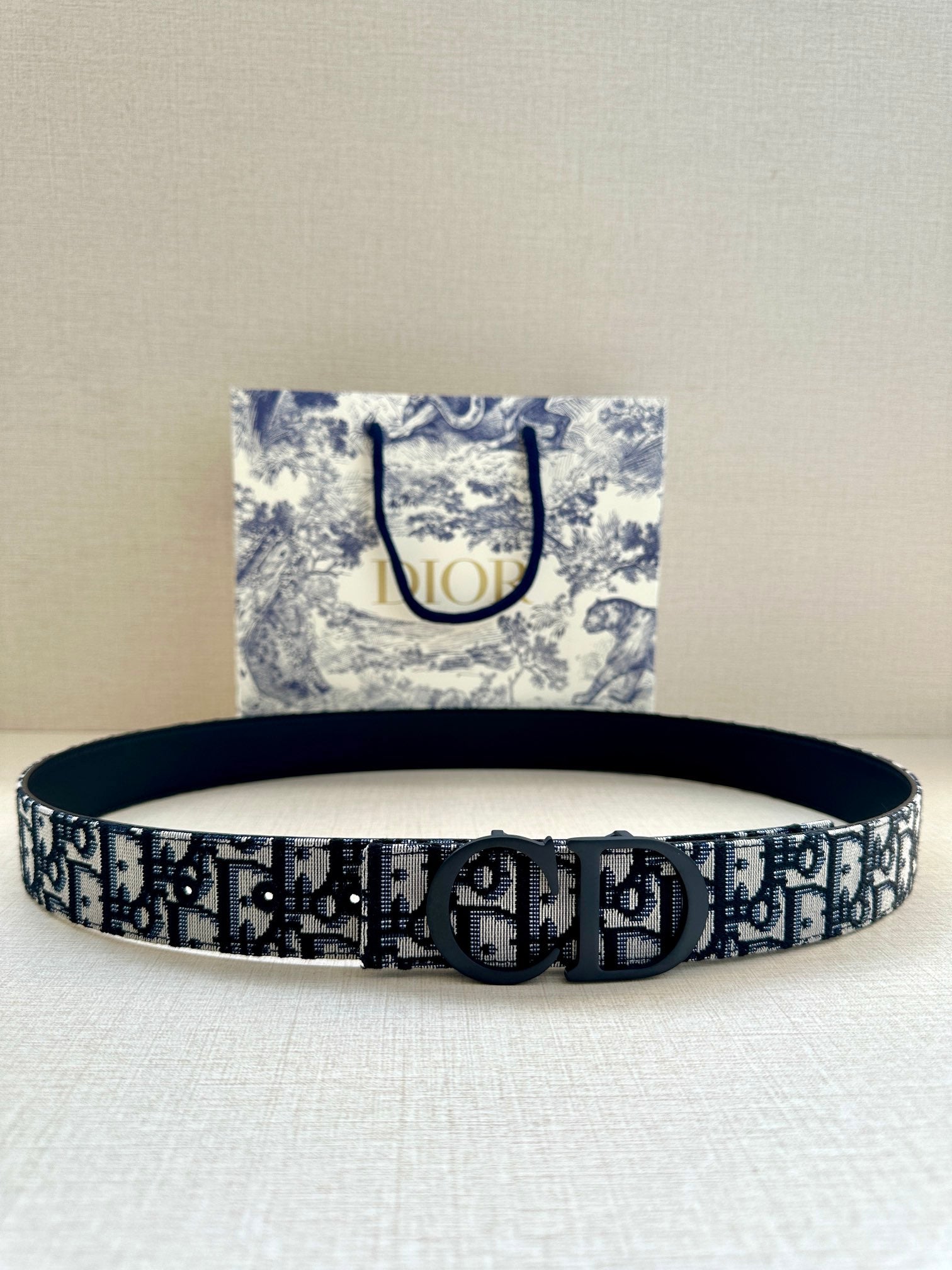 Dior Belt