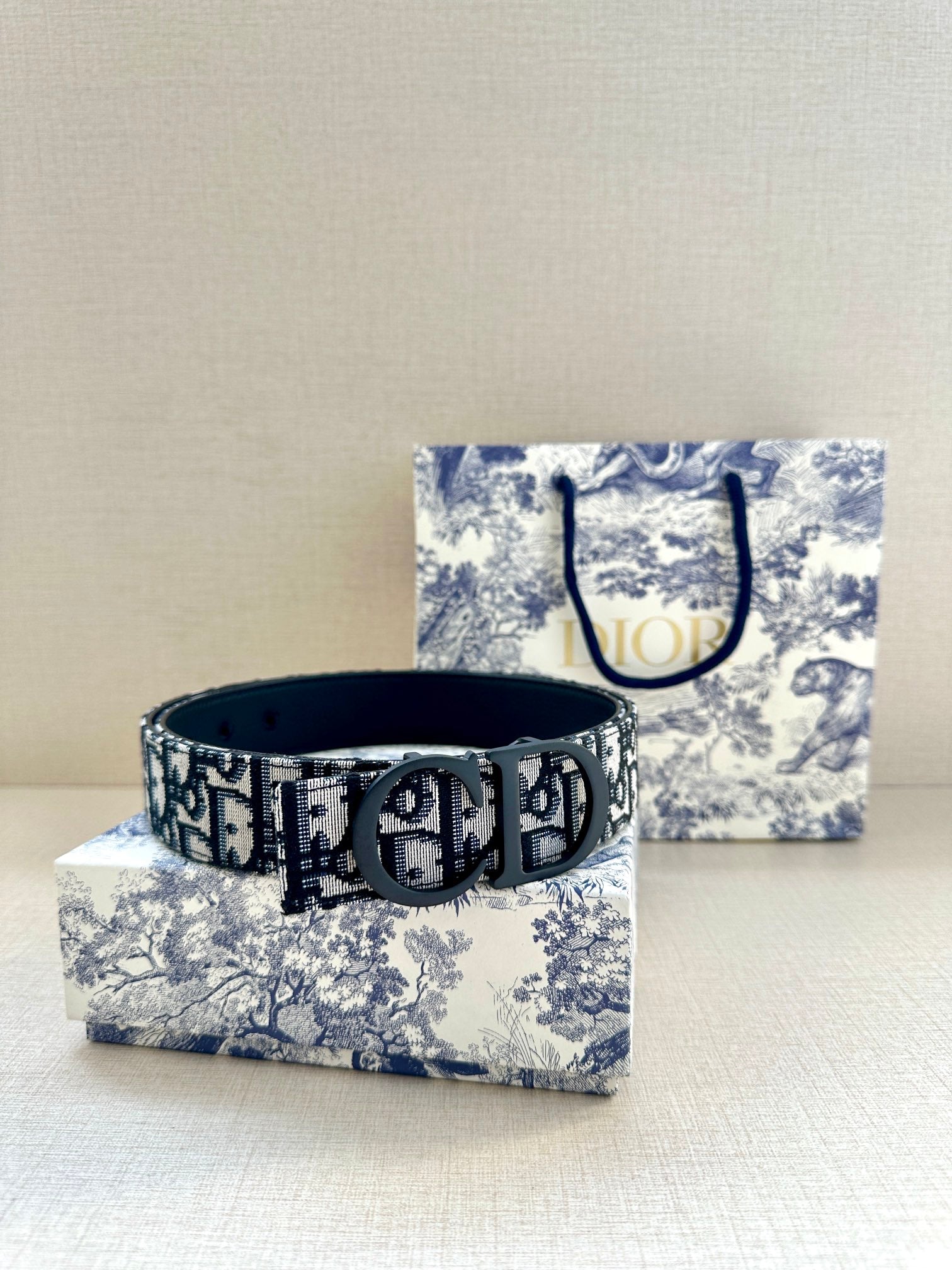 Dior Belt