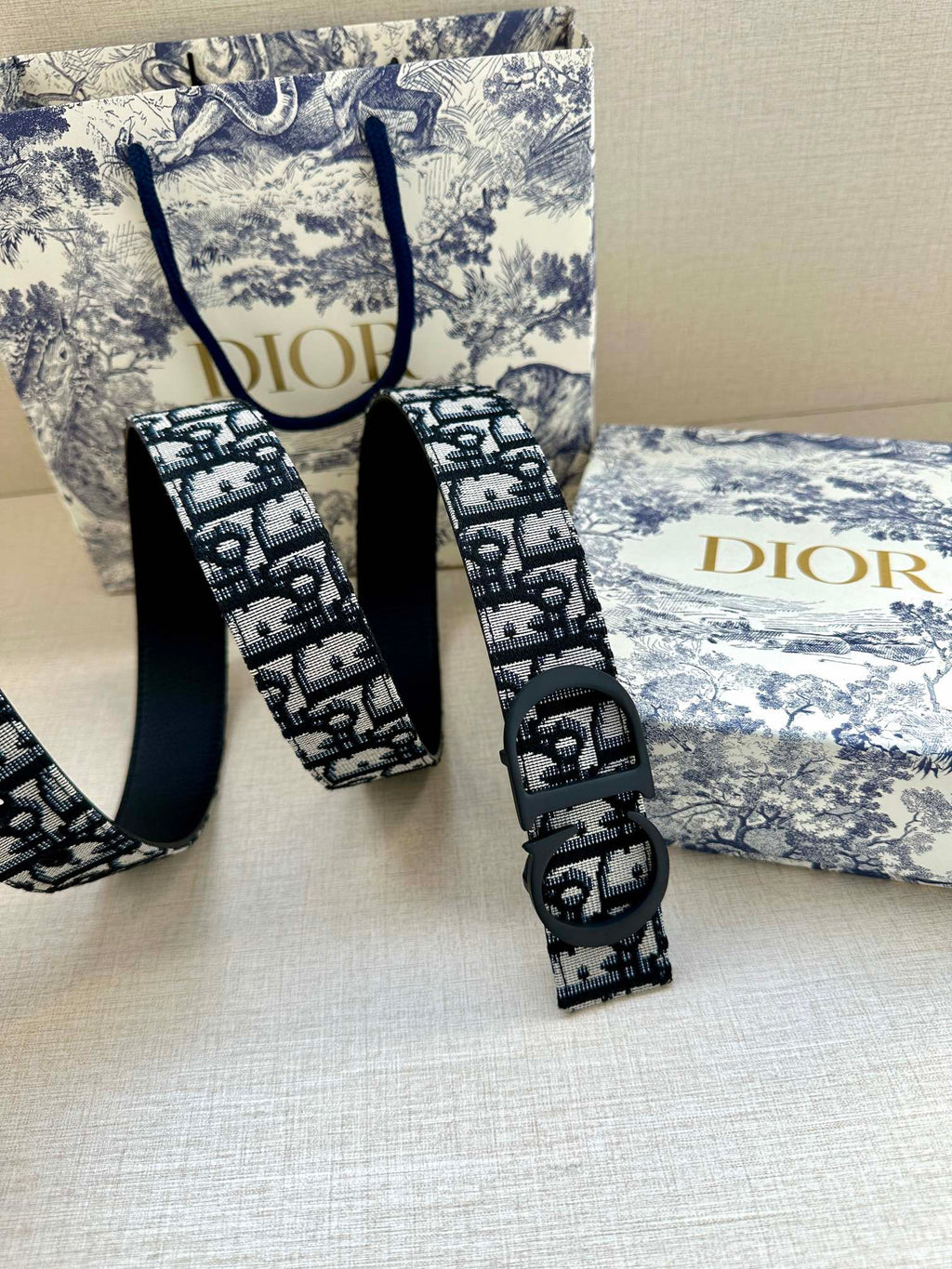 Dior belt and strap with monogram print, black buckle and leather tabs