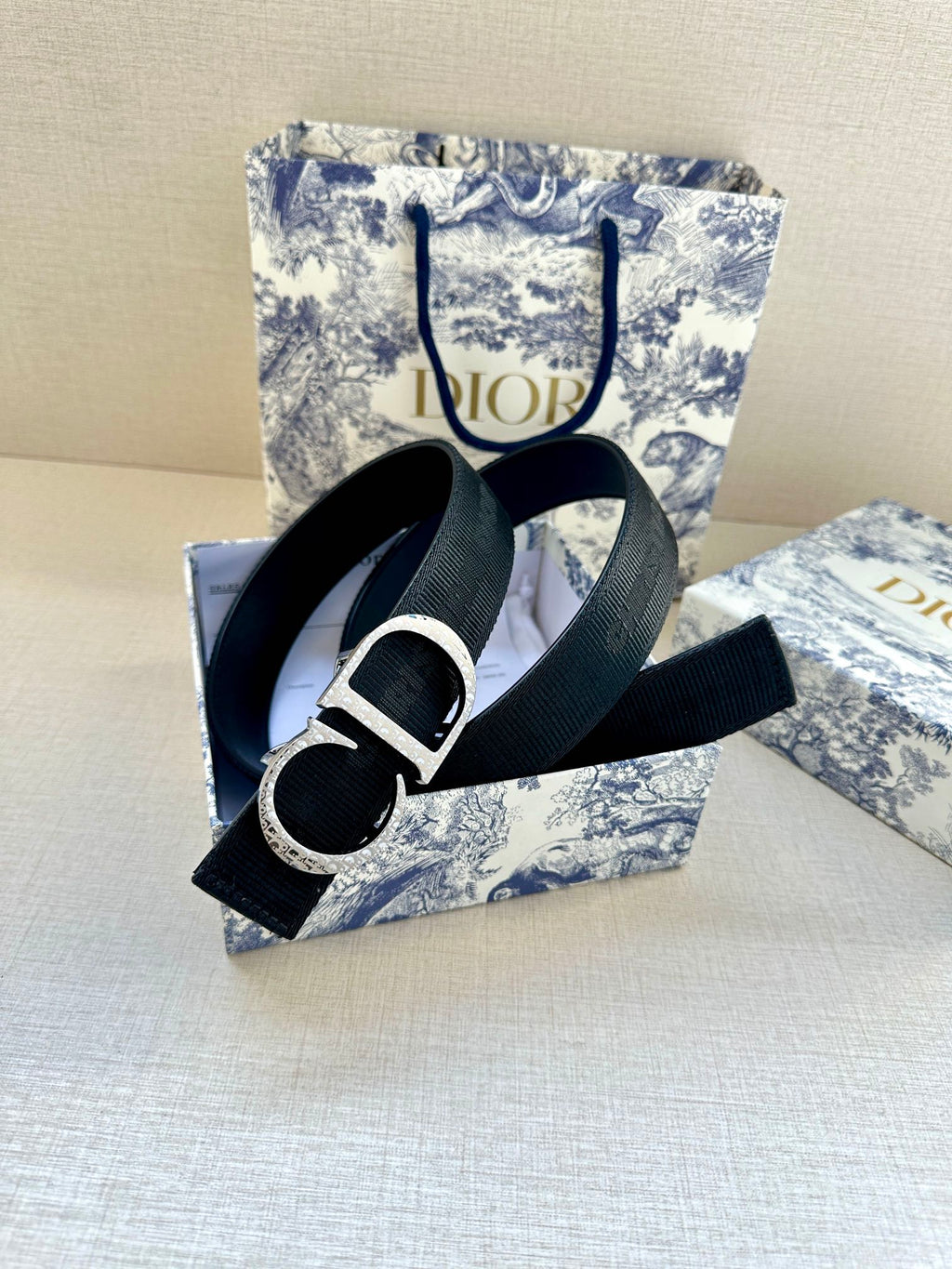Dior belt with dark strap and silver CD buckle, buckle centered