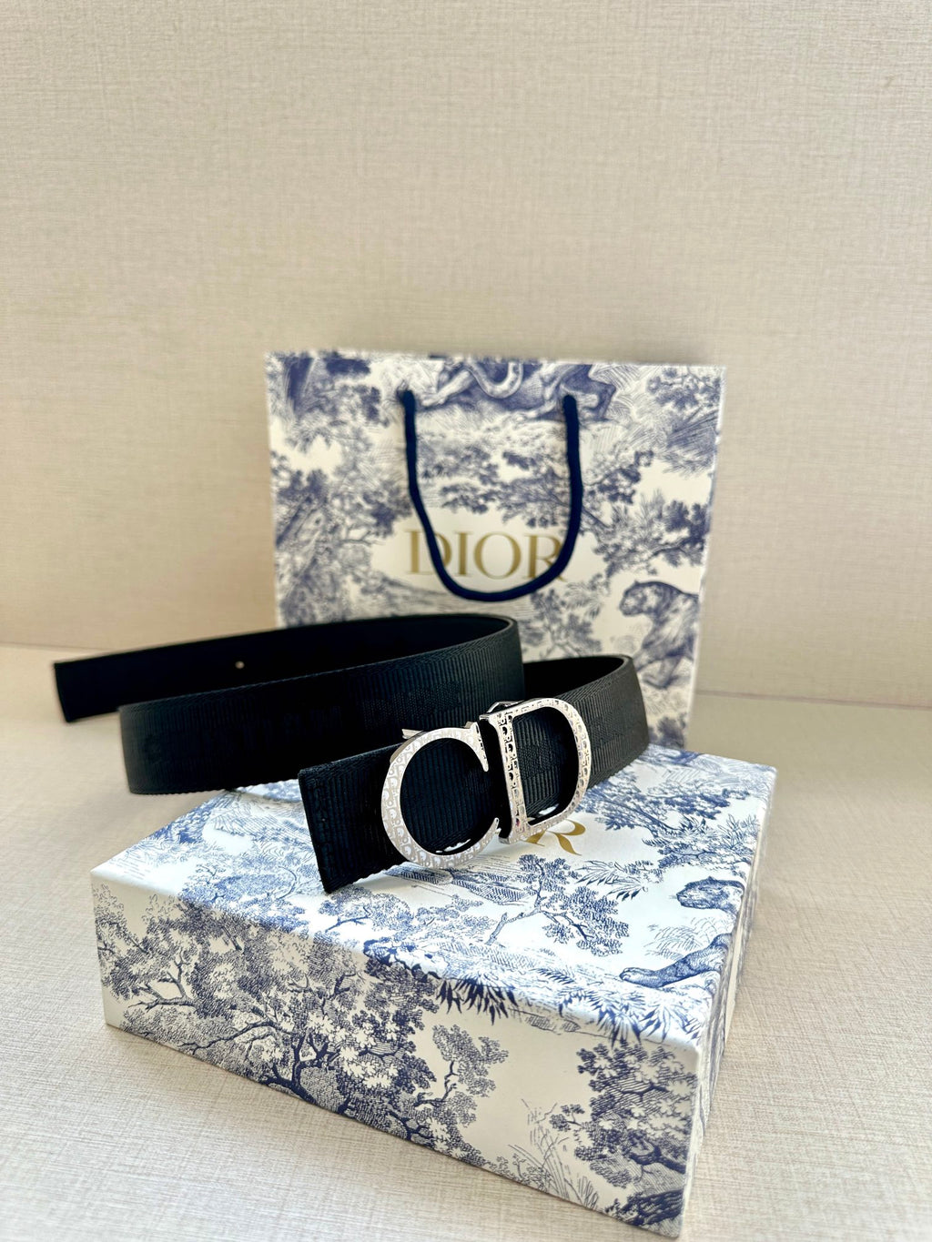 Dior belt with dark strap and large silver CD buckle