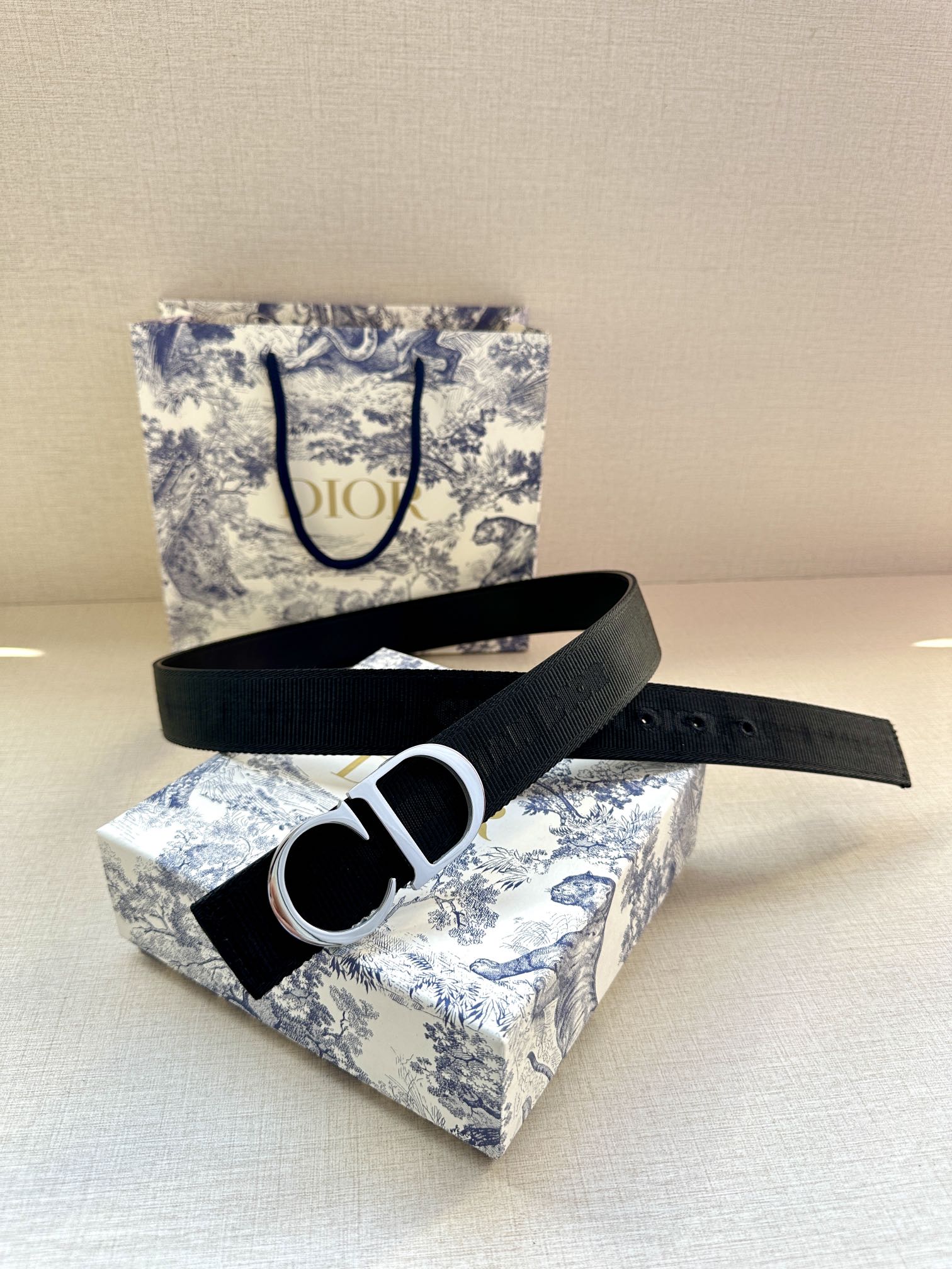 Dior Belt