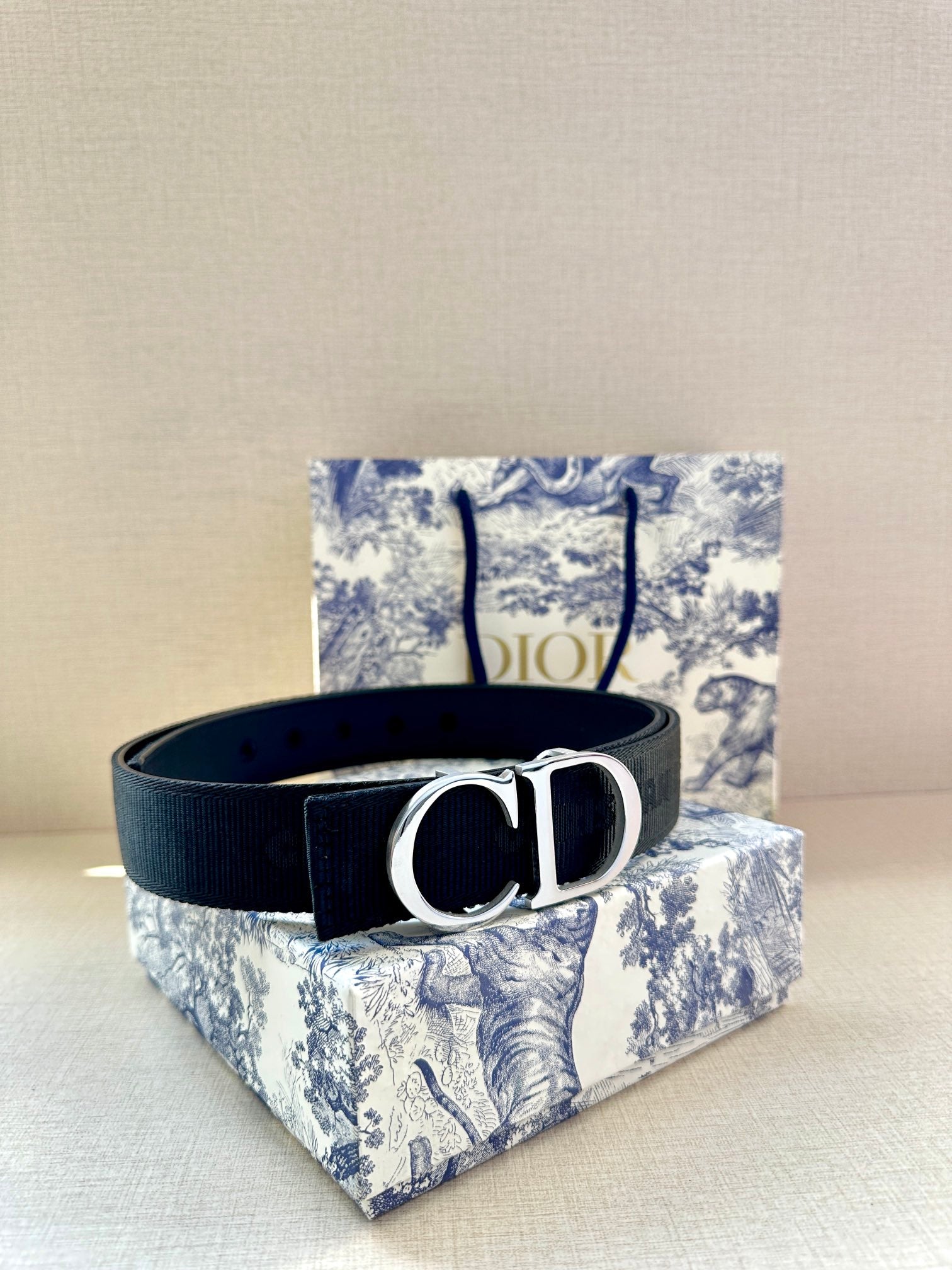 Dior Belt