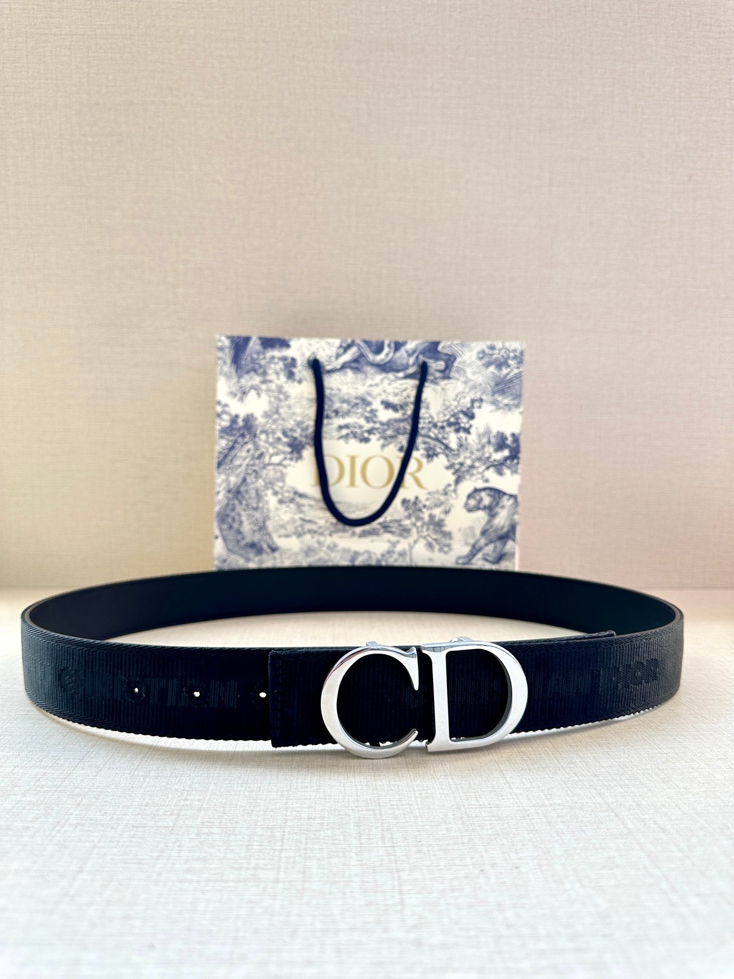 Dior Belt