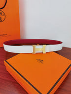 Hermes reversible belt with light blue strap and gold-toned buckle, red lining visible