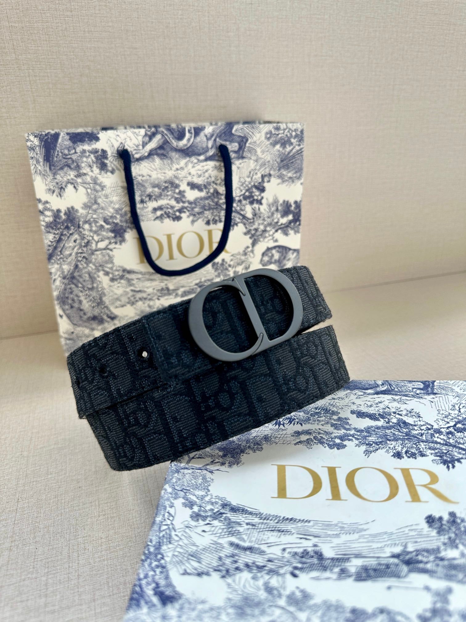 Dior Belt