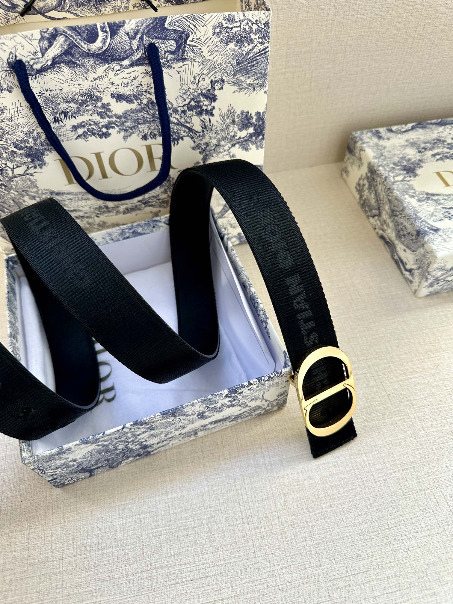 Dior Belt