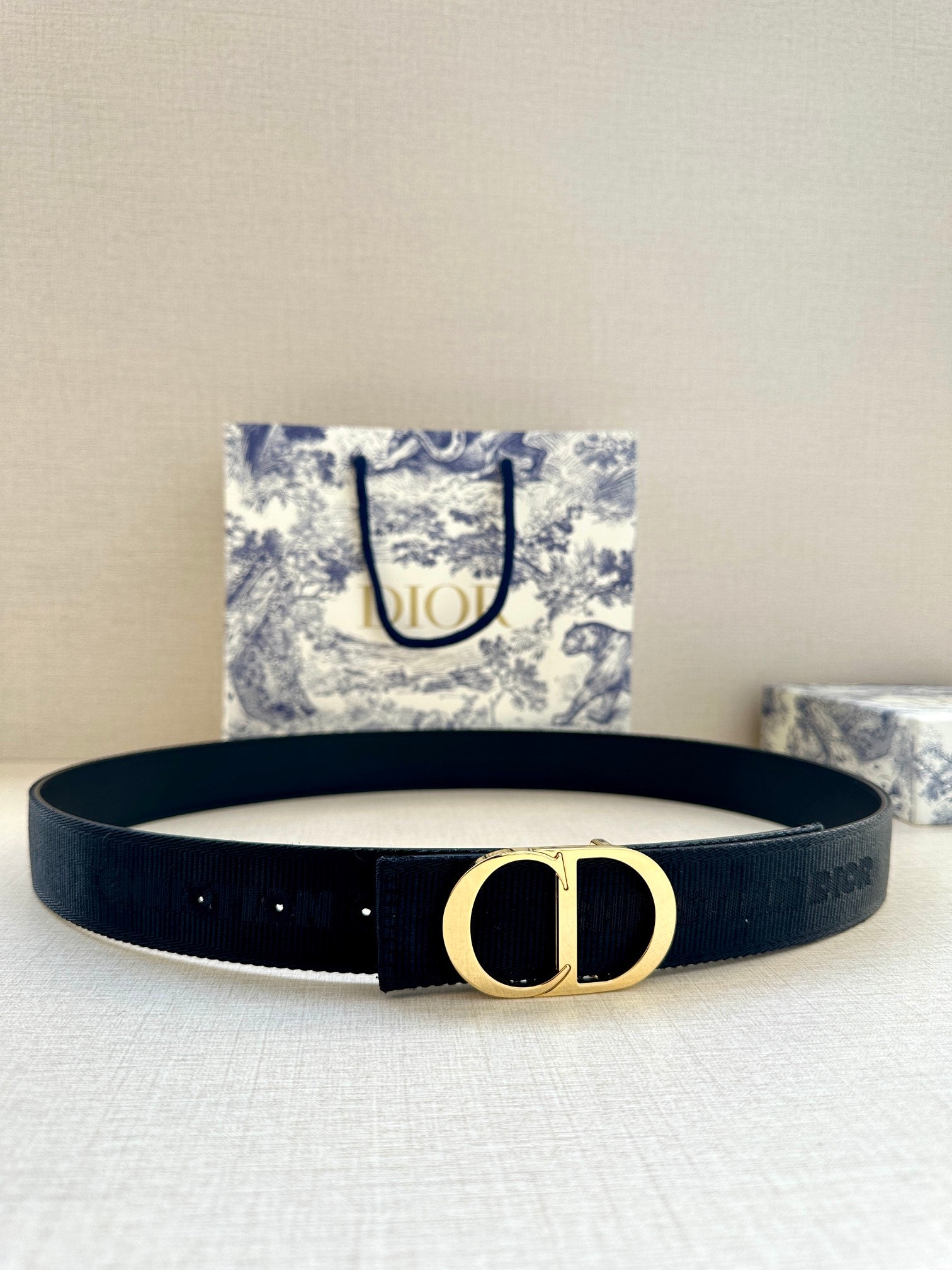Dior Belt