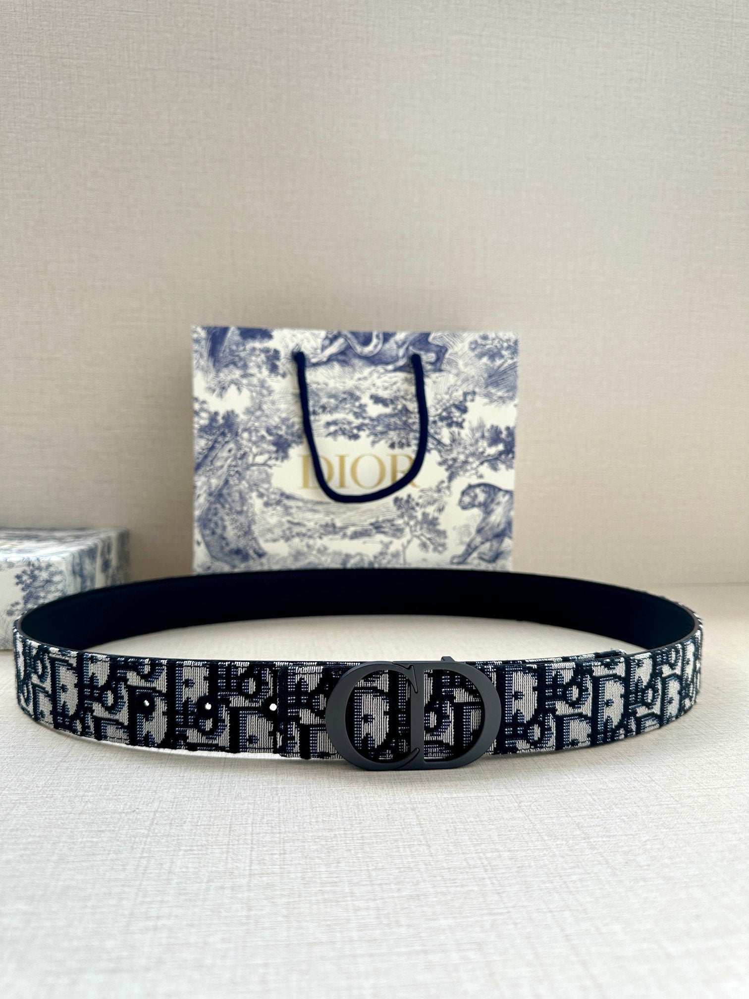 Dior Belt