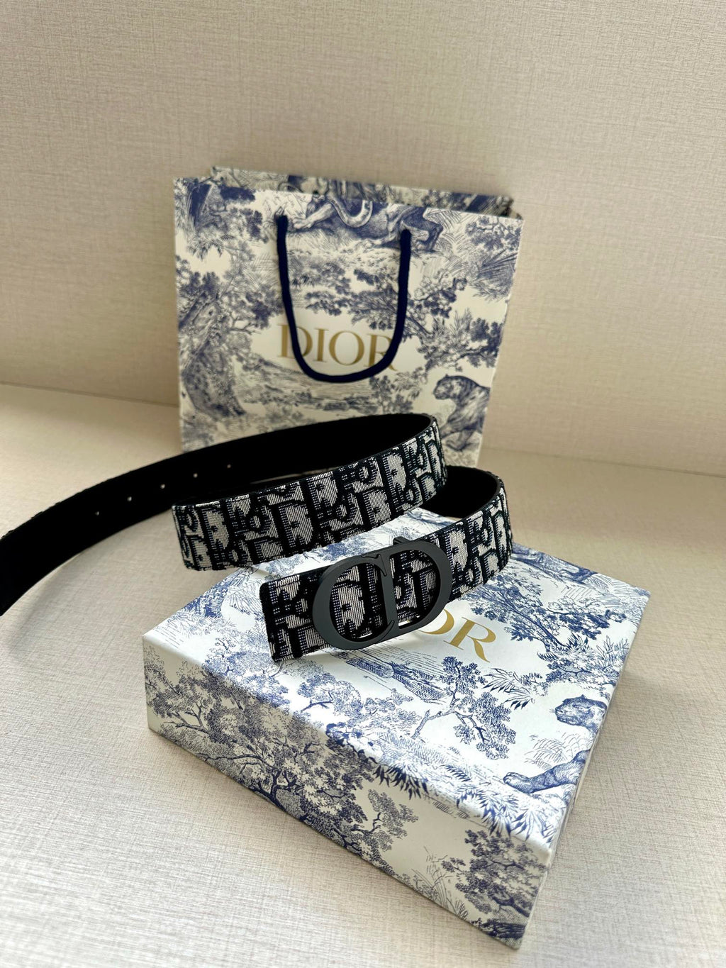 Dior logo belt with dark patterned band and large silver-toned buckle