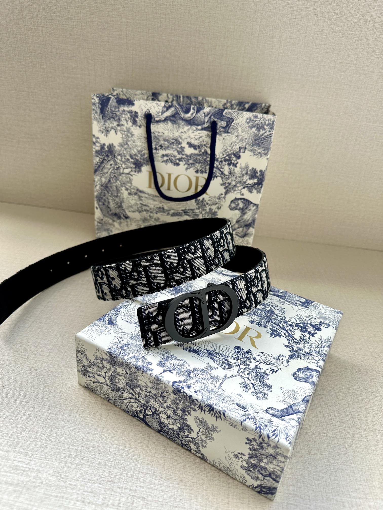 Dior Belt
