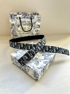 Black Dior monogram belt with silver-tone buckle, belt laid across surface