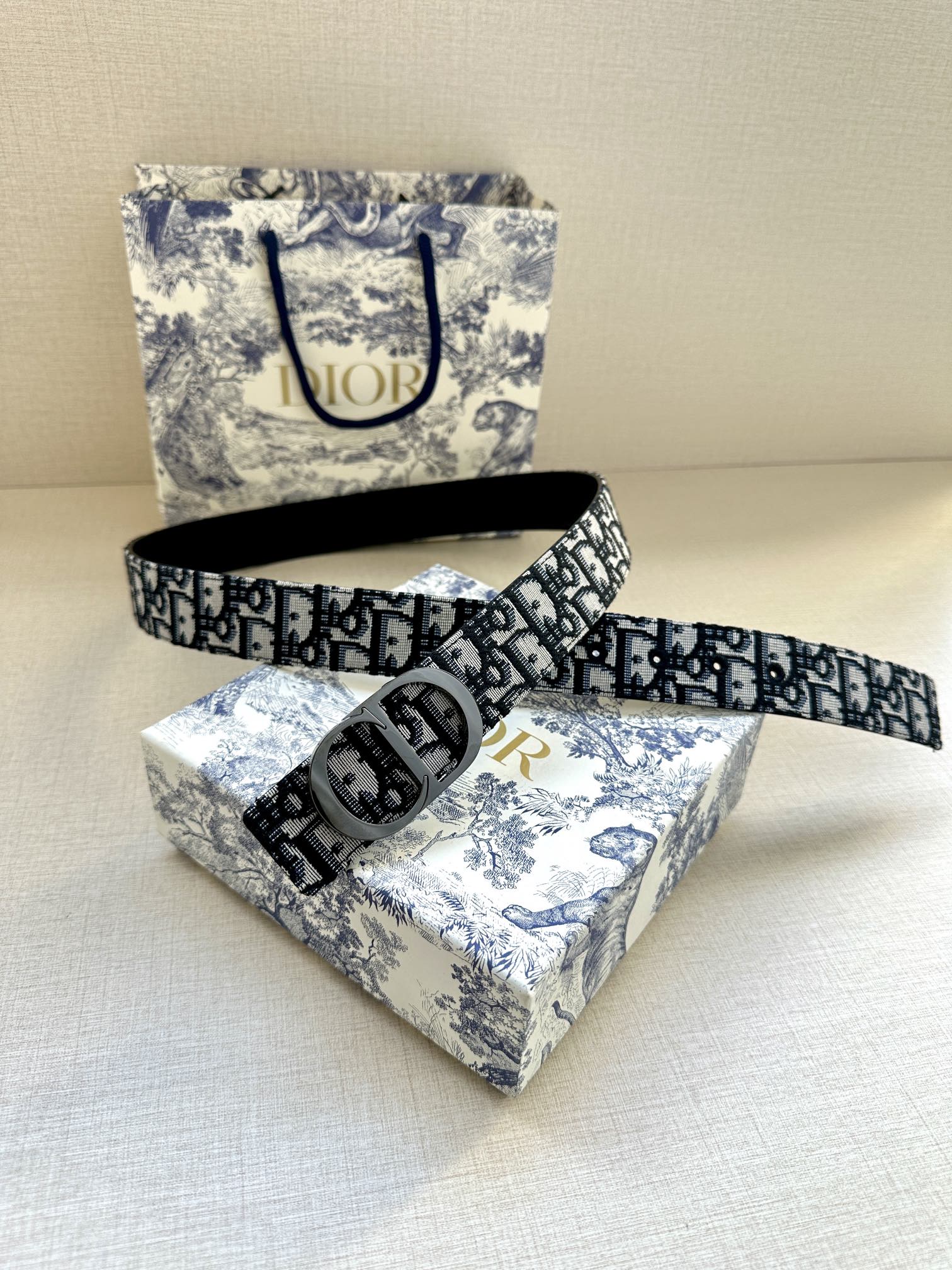 Dior Belt