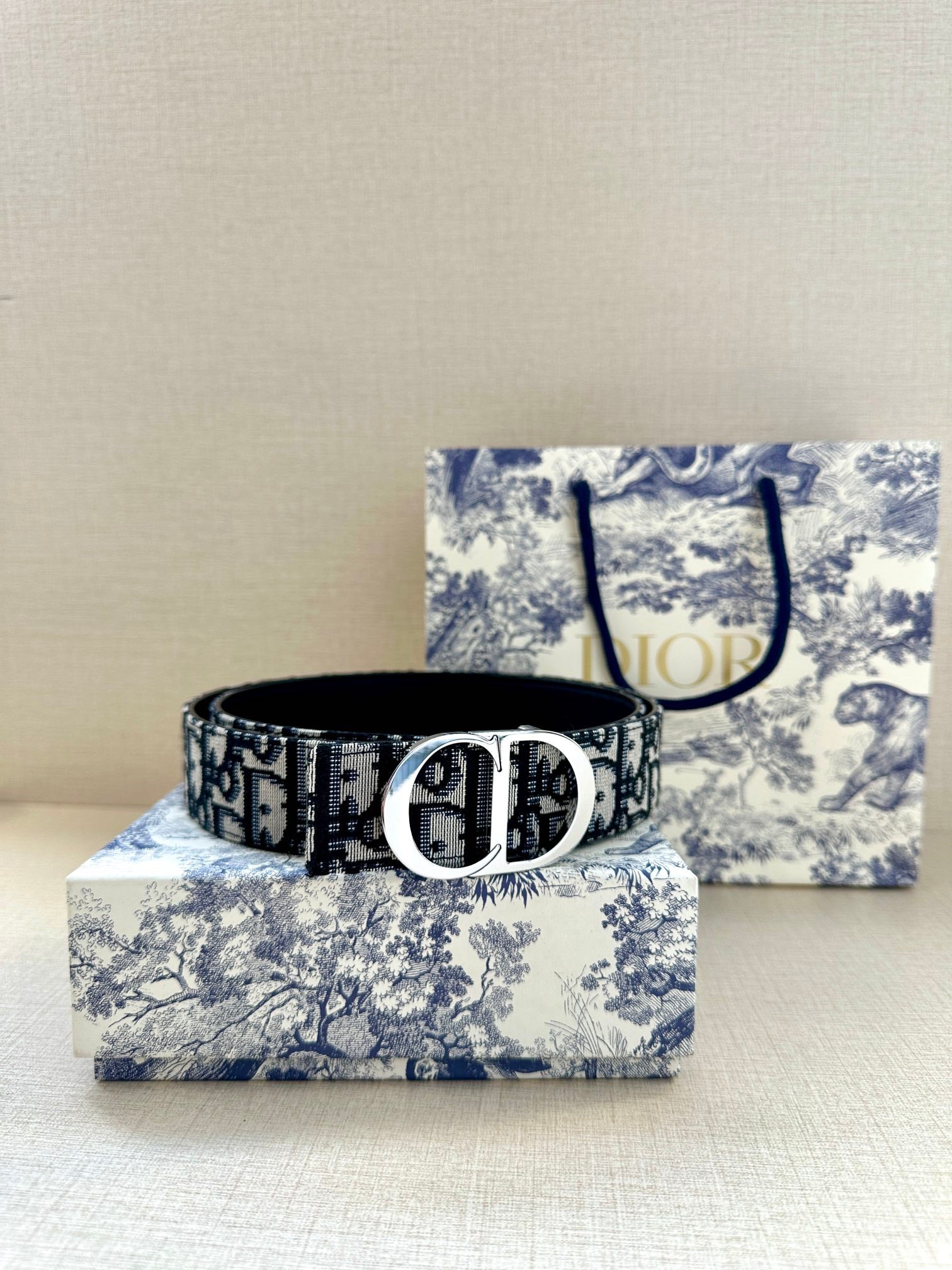 Dior Belt