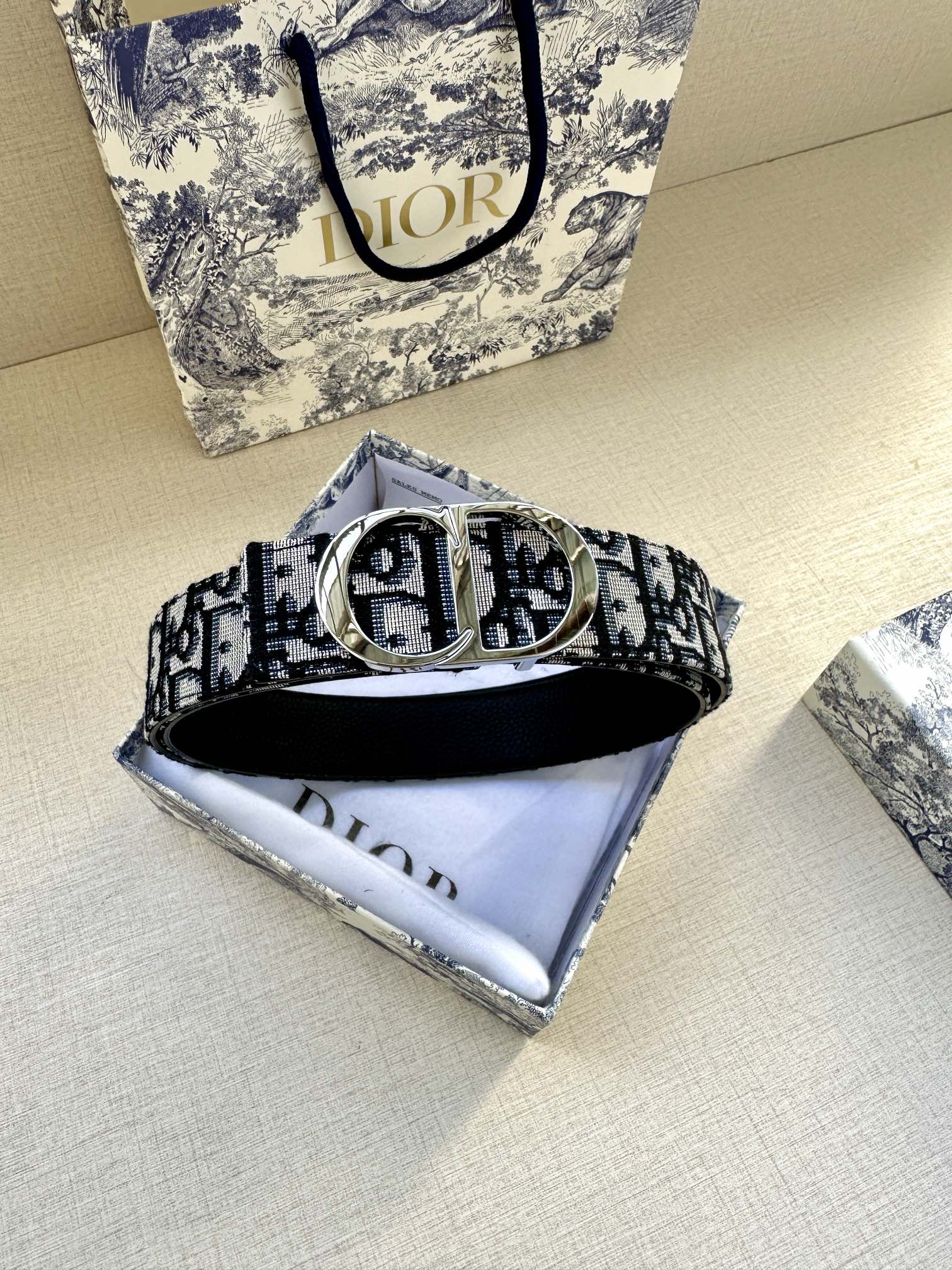 Dior Belt
