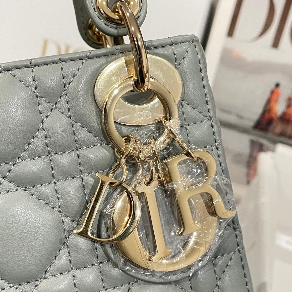 Dior Bags