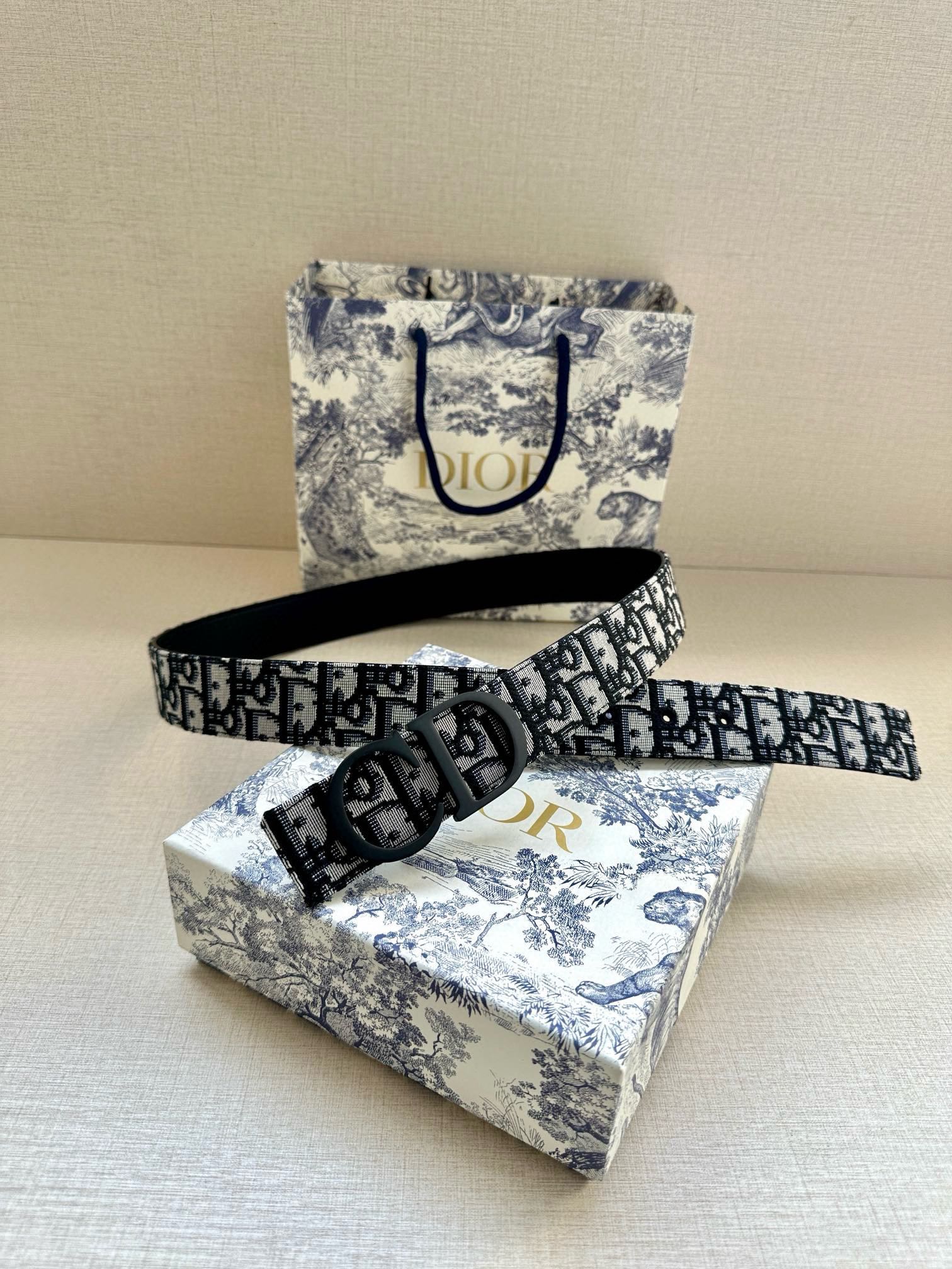 Dior Belt