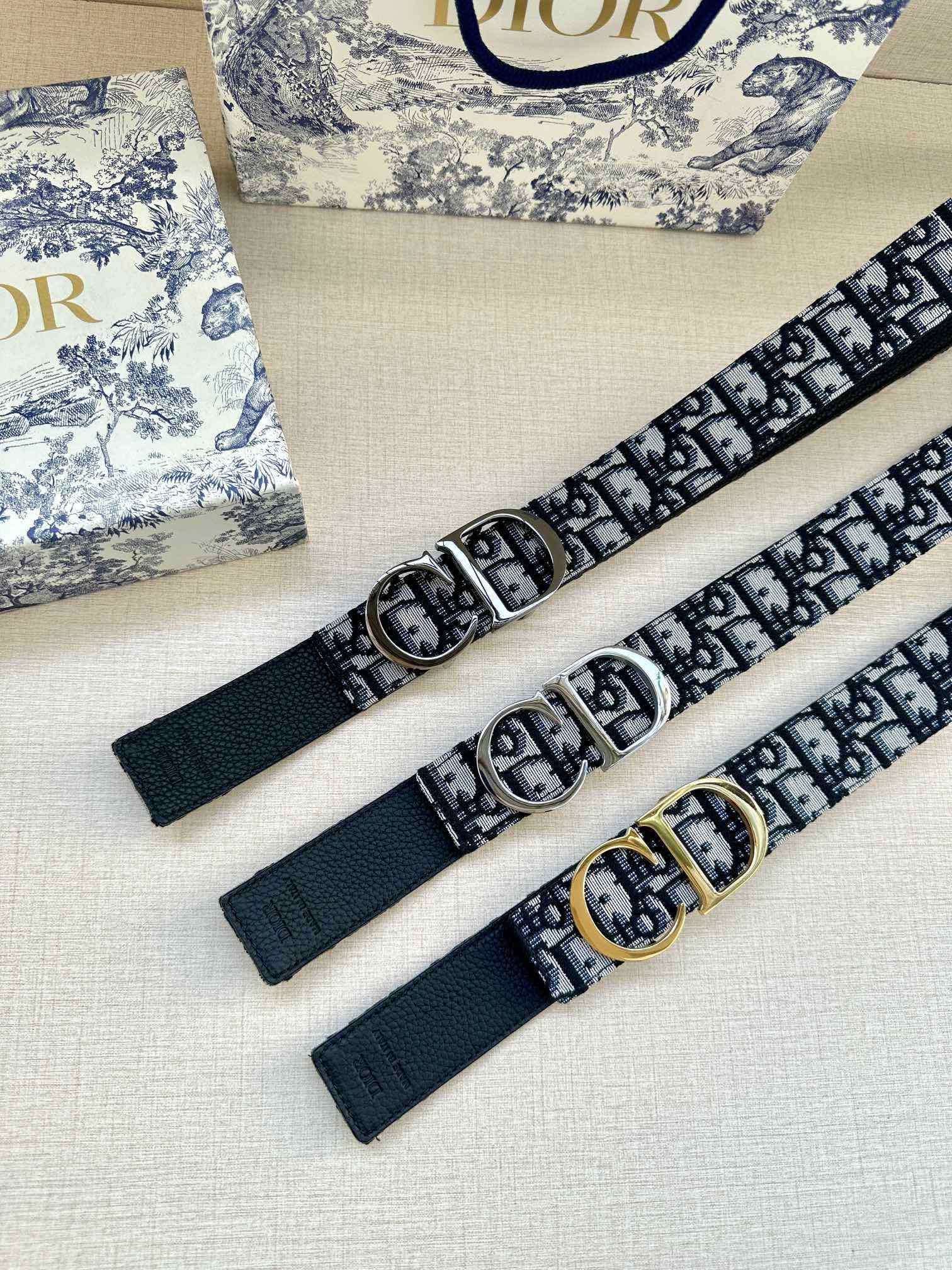 Dior belt with two straps, logo-print webbing and metal buckles