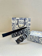 Dior belt and matching strap belt, blue logo-print with metal buckle