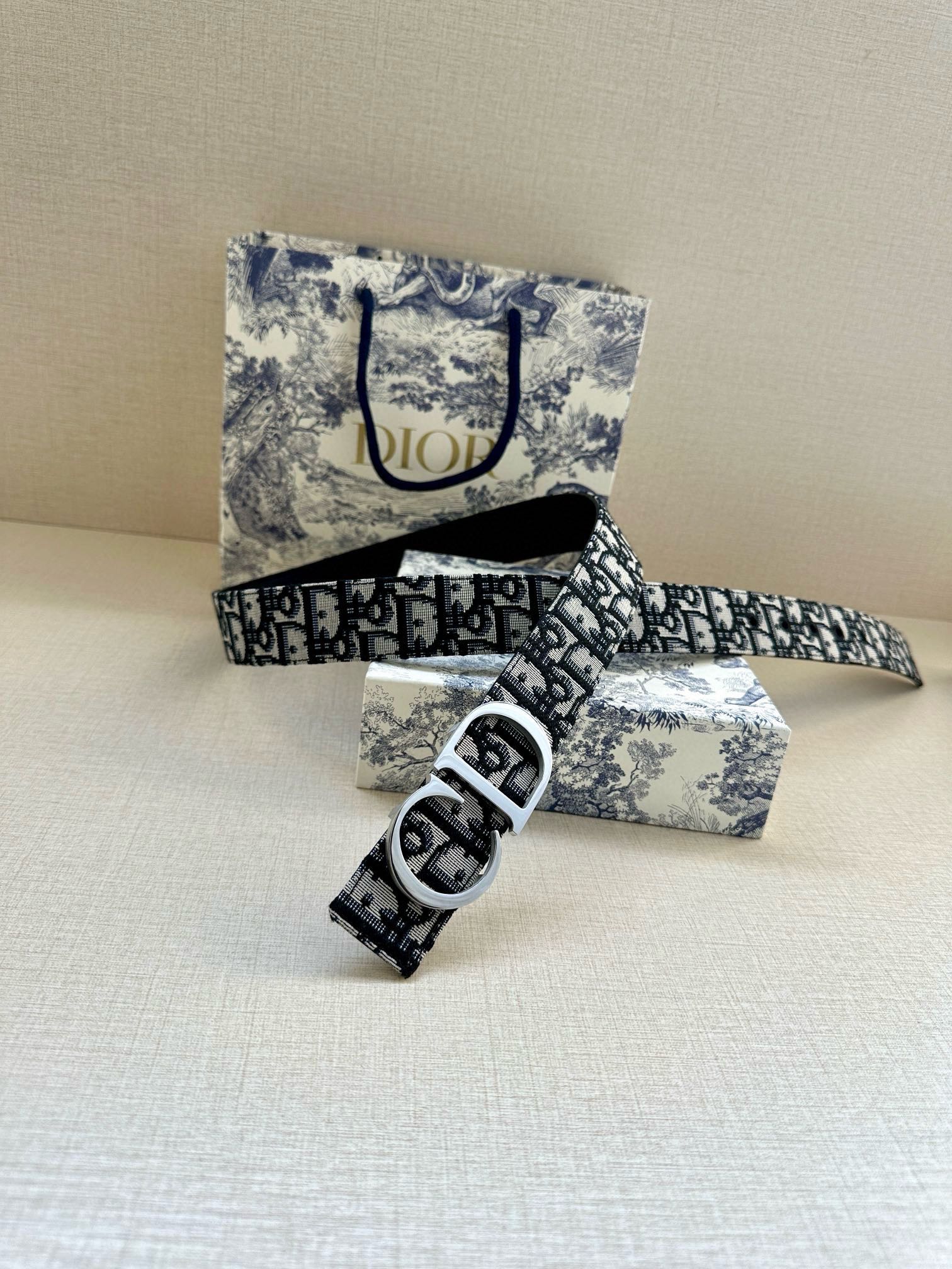 Dior Belt