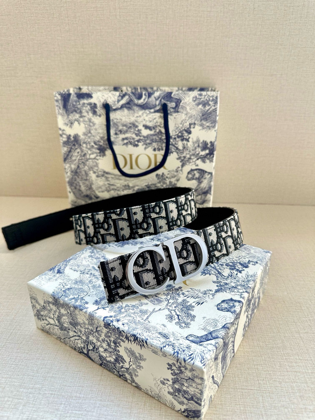 Designer belt with black-and-white Dior monogram strap and silver buckle with keeper