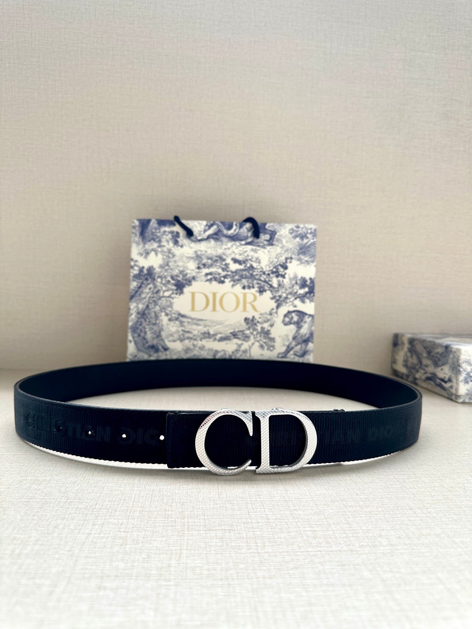 Dior Belt