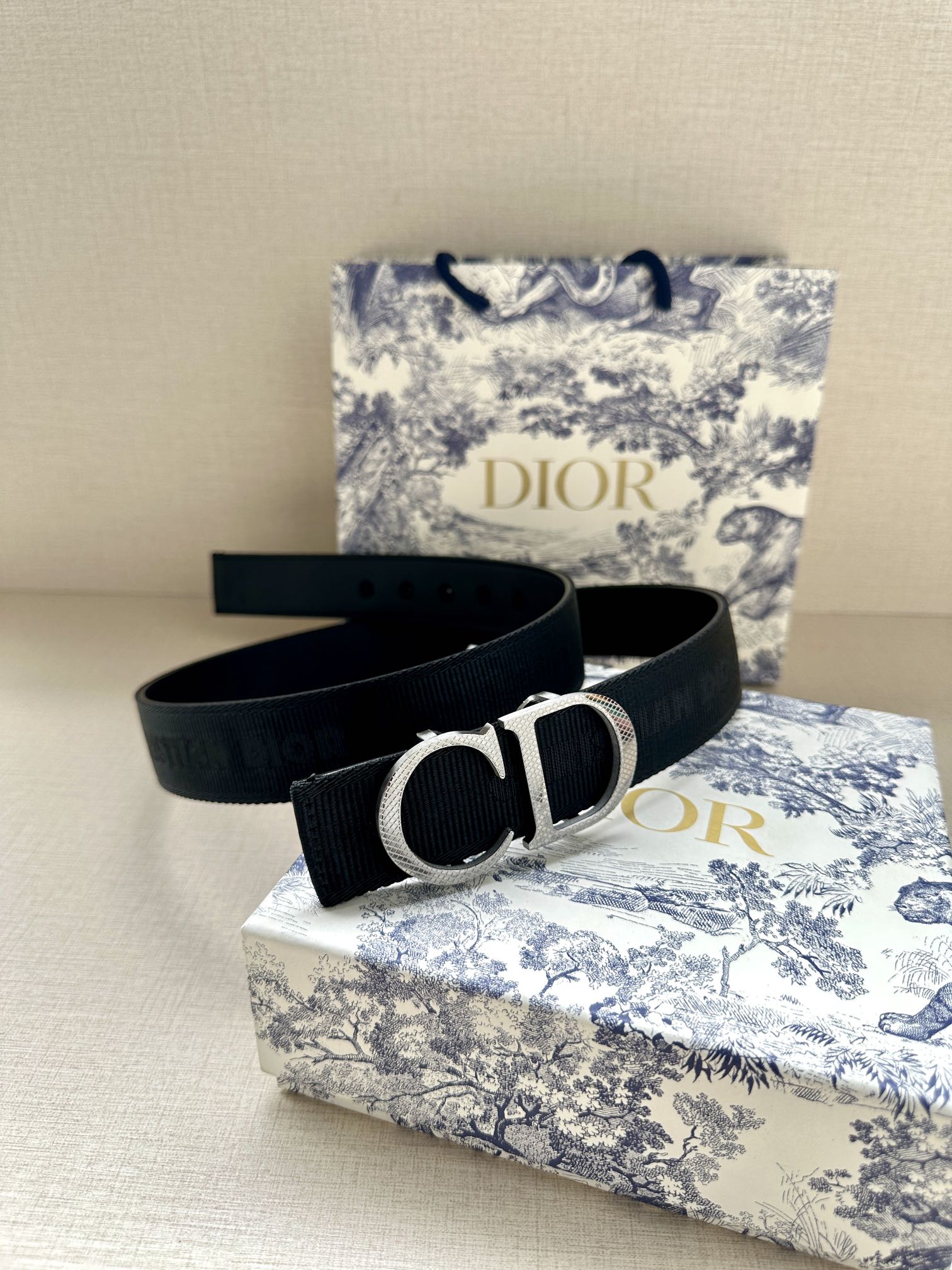 Dior Belt