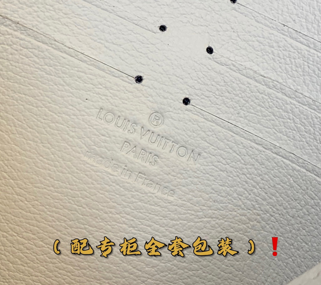 Louis Vuitton Bags