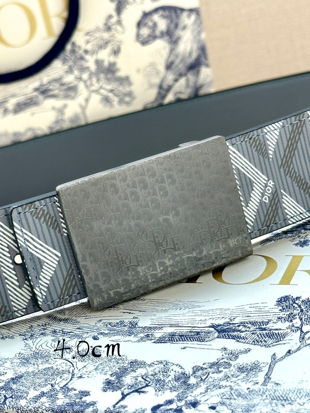 Dior belt buckle close-up: gray rectangular plaque with Dior detail, patterned strap