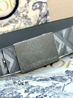 Dior belt buckle close-up: gray rectangular plaque with Dior detail, patterned strap