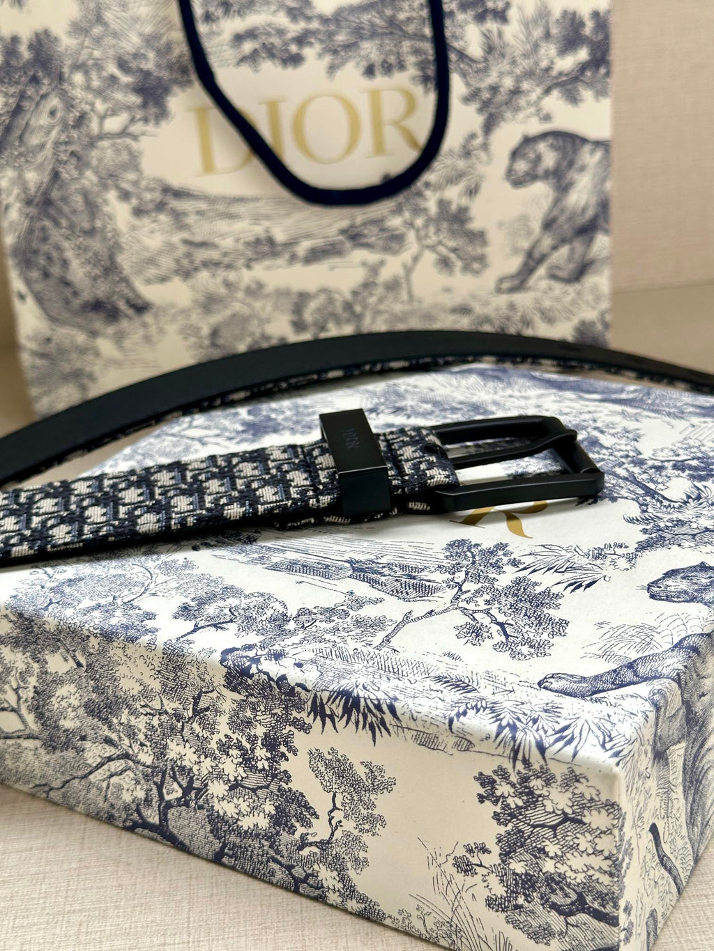 Louis Vuitton belt close-up: blue monogram strap with black pin buckle
