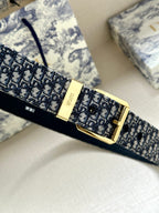 Dior monogram belt with gold buckle, close-up on strap and rivets